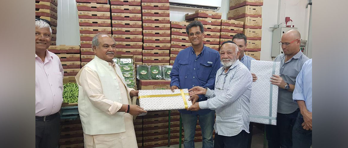  Hon'ble Union Agriculture & Farmers Welfare Minister Shri Narendra Singh Tomar visited a Farm in Be’er Milka, owned by an Indian origin Farmer who grows Indian vegetables in Negev desert area of Israel.
